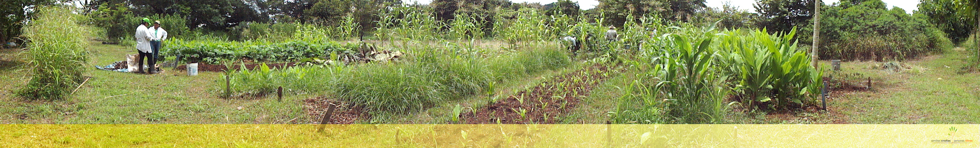 huerta-casa-del-sol-copia