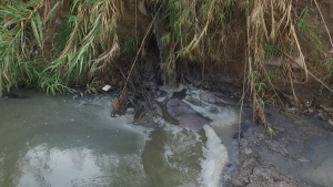 Un río con amparo2