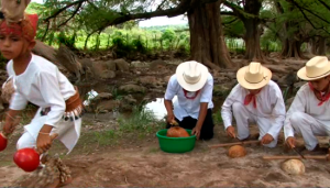 Pueblos yaquis y mayos