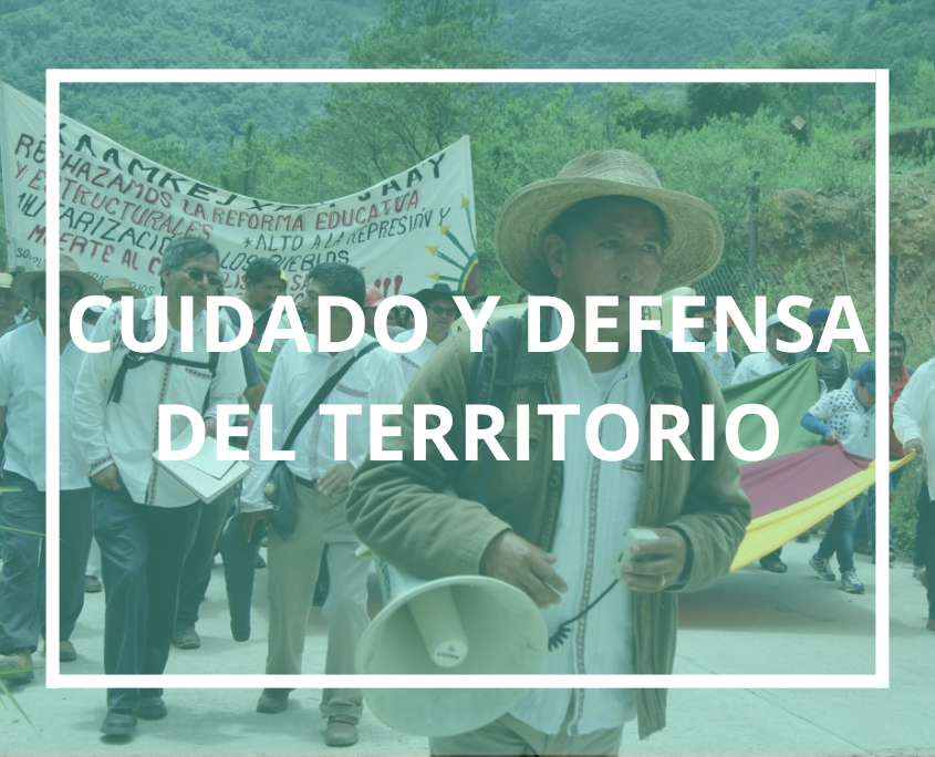 Cuidado y defensa del territorio Producciones con comunidades indígenas y afrodescendientes sobre el cuidado y la defensa del territorio