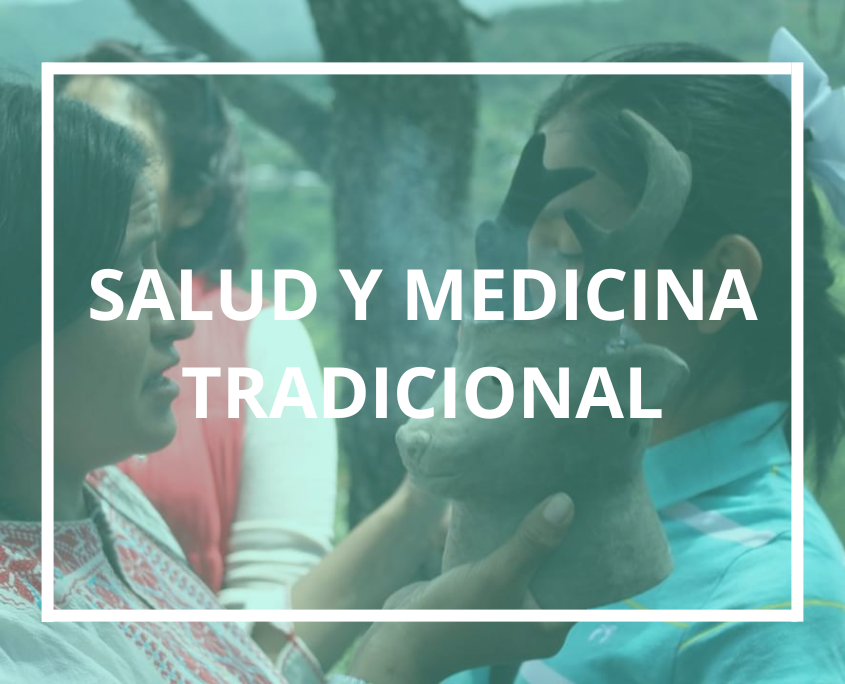Producciones sobre salud y medicina tradicional